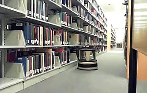 Amateur library busty