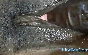 Anal makes her drip 2  