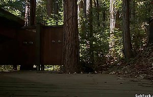 Bound journalist anal fucked in woods