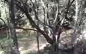 Sex hungry dude eats latina TS in a forest