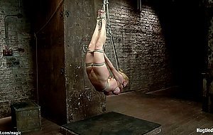 Hogtied suspended MILF pussy vibed