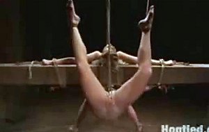 Hogtied slaves bondage   series